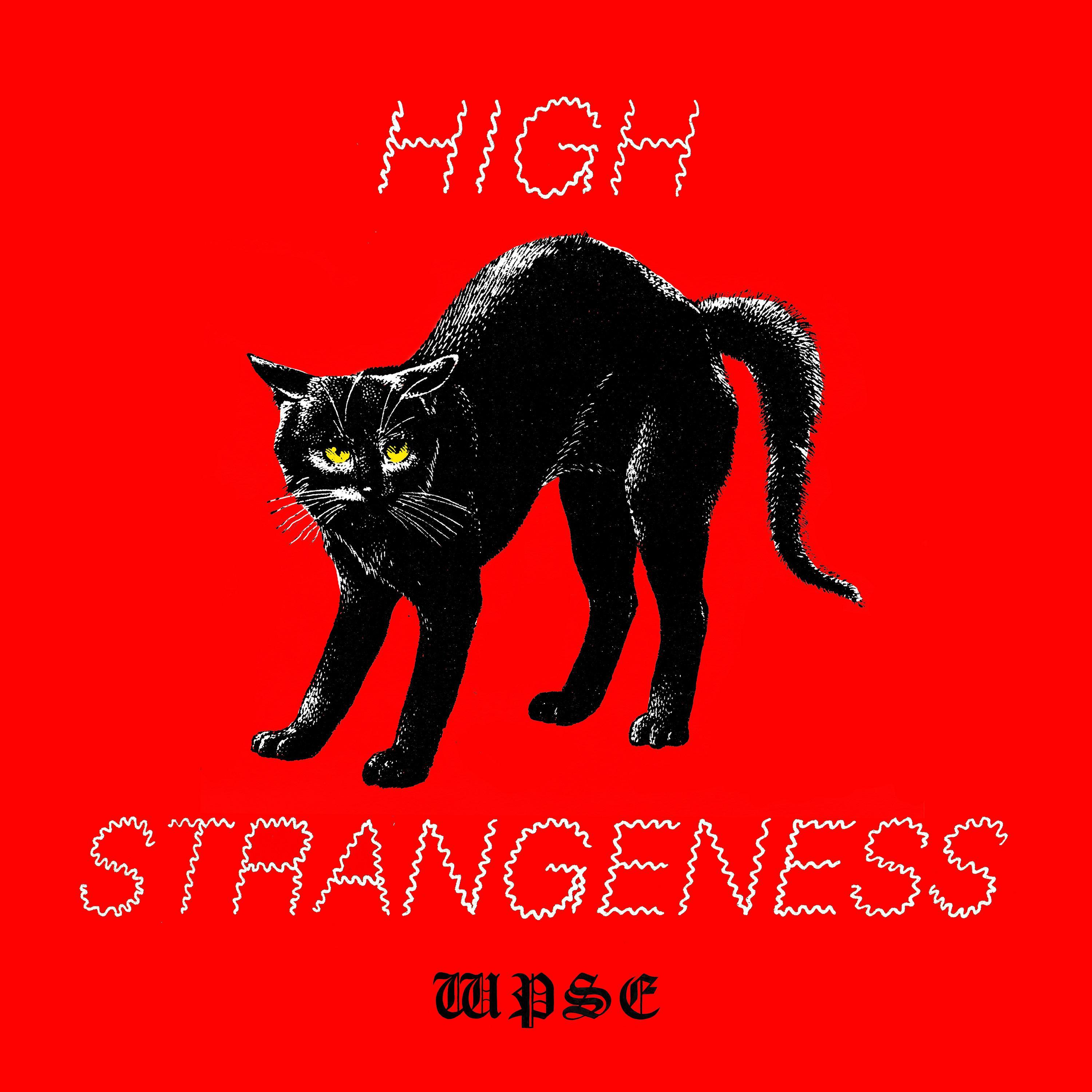 High Strangeness