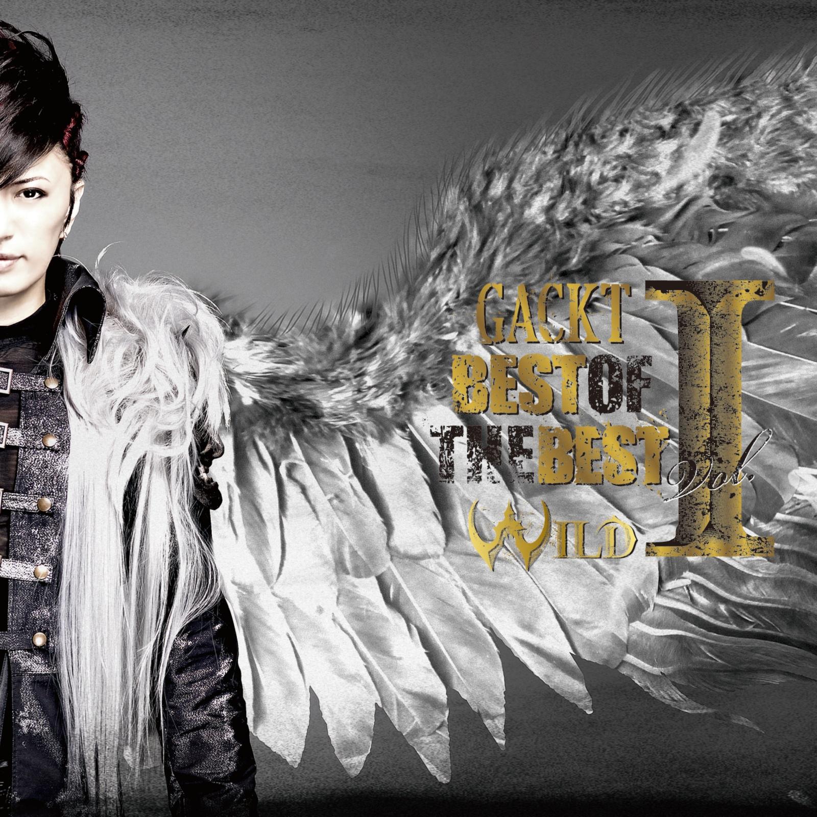 BEST OF THE BEST vol.1 ―WILD―专辑