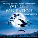Winged Migration (Original Motion Picture Soundtrack)专辑
