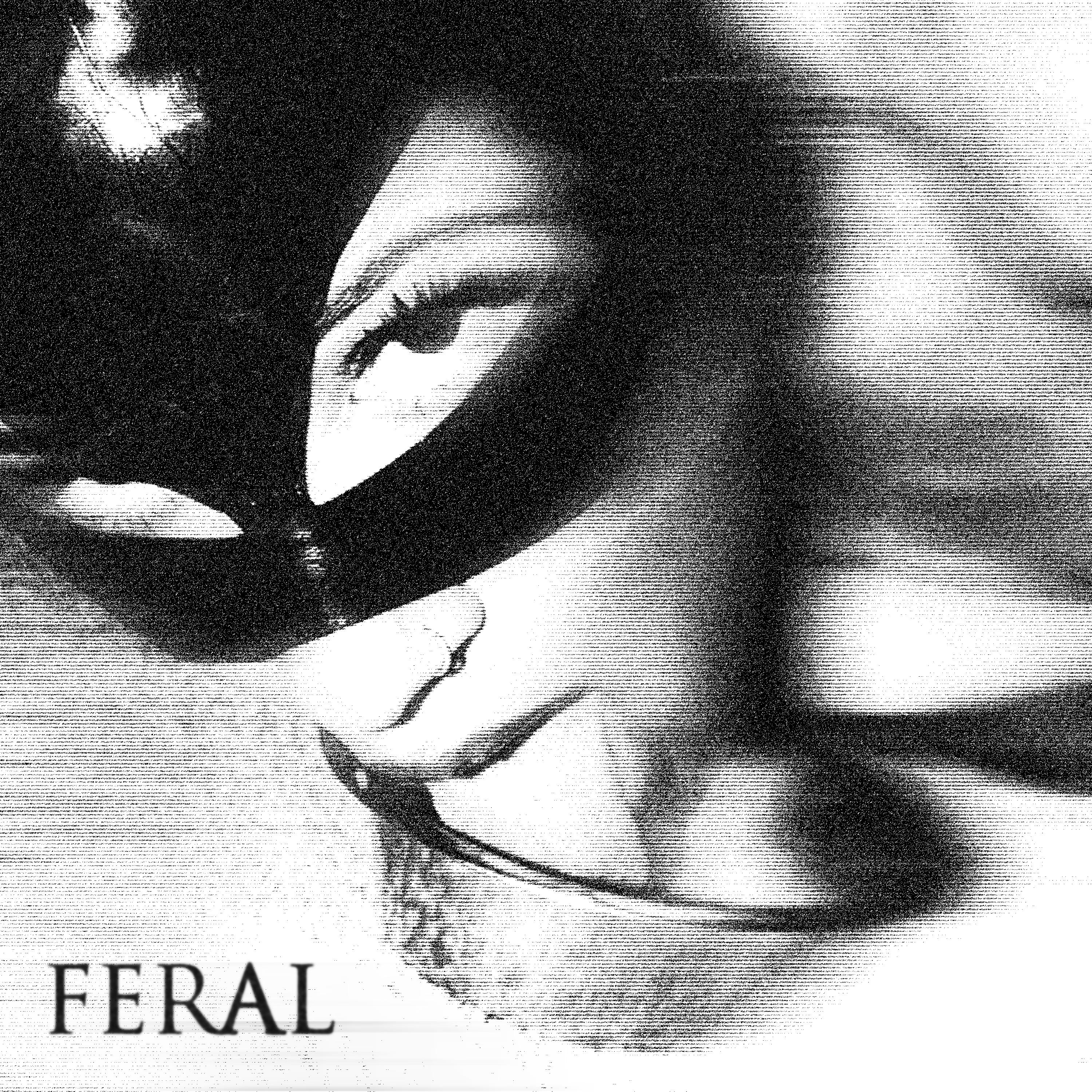 Gomey - Feral