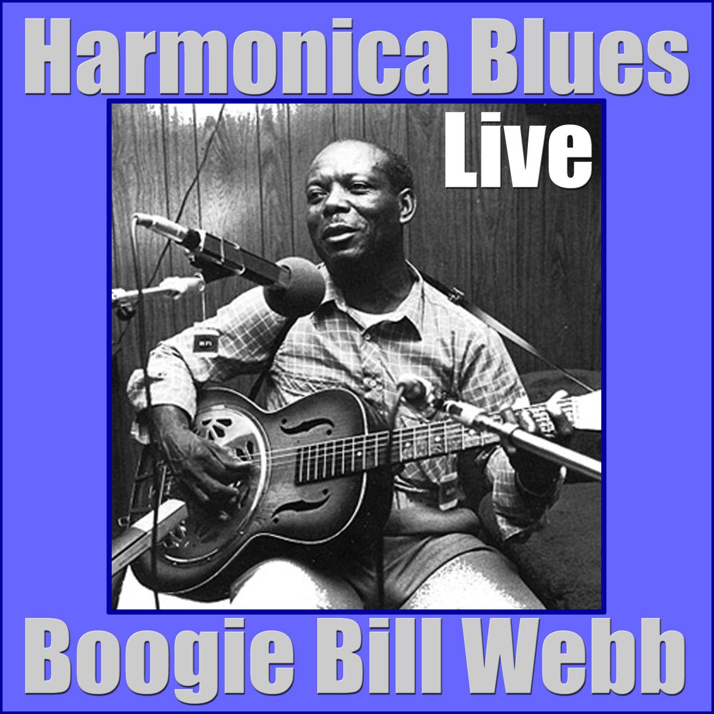 Harmonica Blues (Live)
