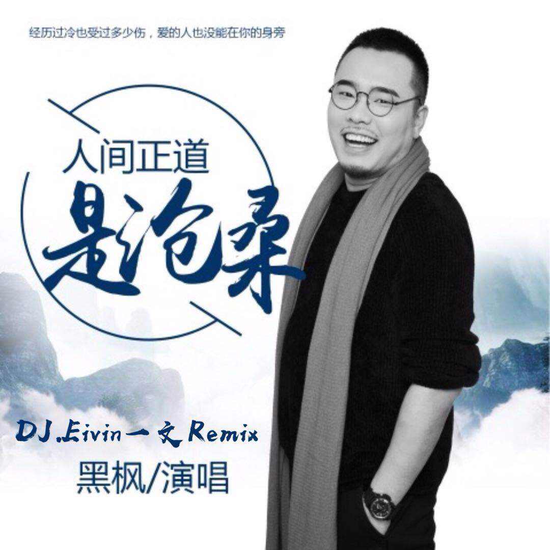 【黑枫】人间正道是沧桑(DJ.Eivin一文 Extended Mix)专辑