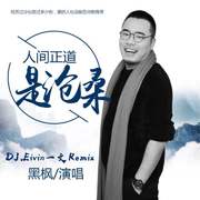 【黑枫】人间正道是沧桑(DJ.Eivin一文 Extended Mix)