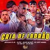 Gelado No Beat - Cria de Ladrão