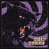 Colt Cobra - People Go Away