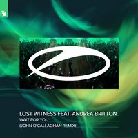 原版伴奏   Wait For You - Lost Witness Feat. Andrea Britton