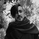Yang Bing