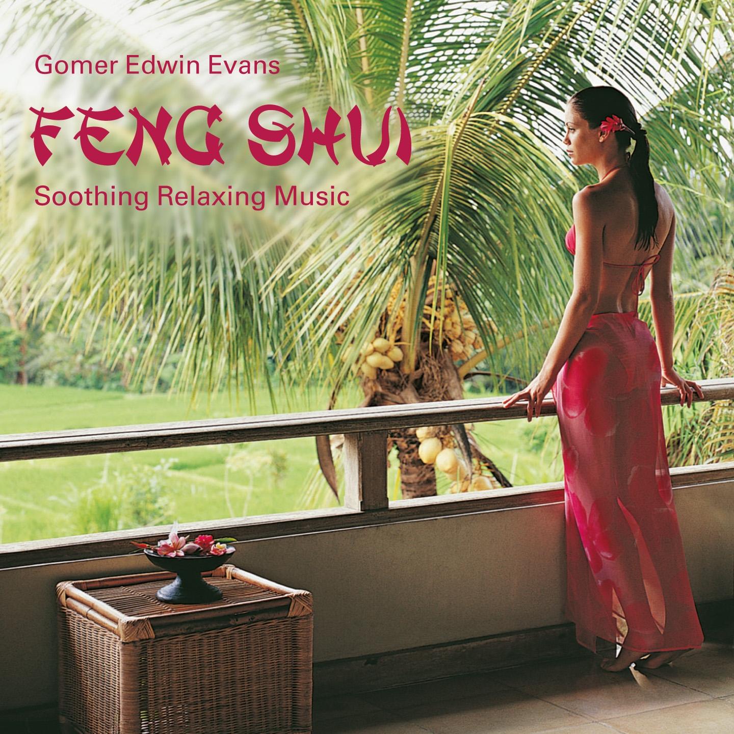 Feng Shui: Soothing Relaxing Music专辑