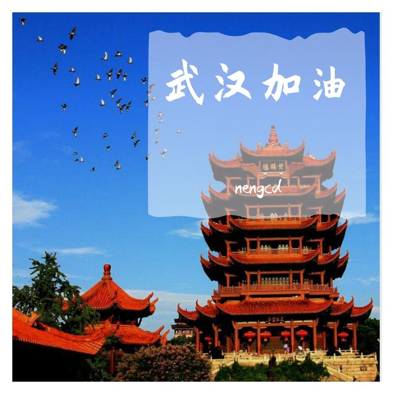 武汉加油