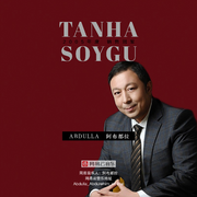 TANHA SOYGU 1《孤独的爱1》2005版