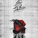 The Rose