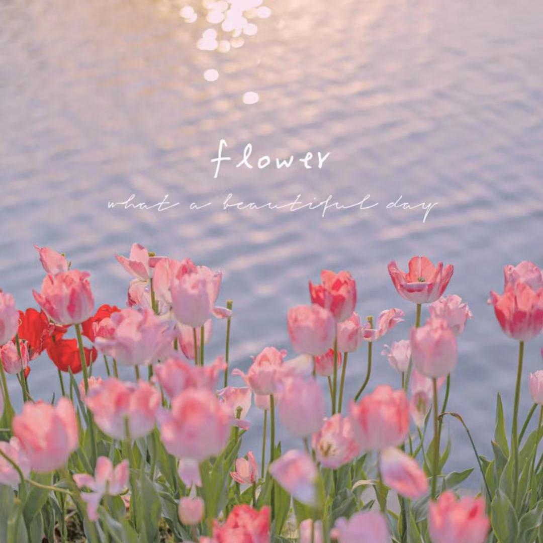 万千（翻自 Zkaaai）