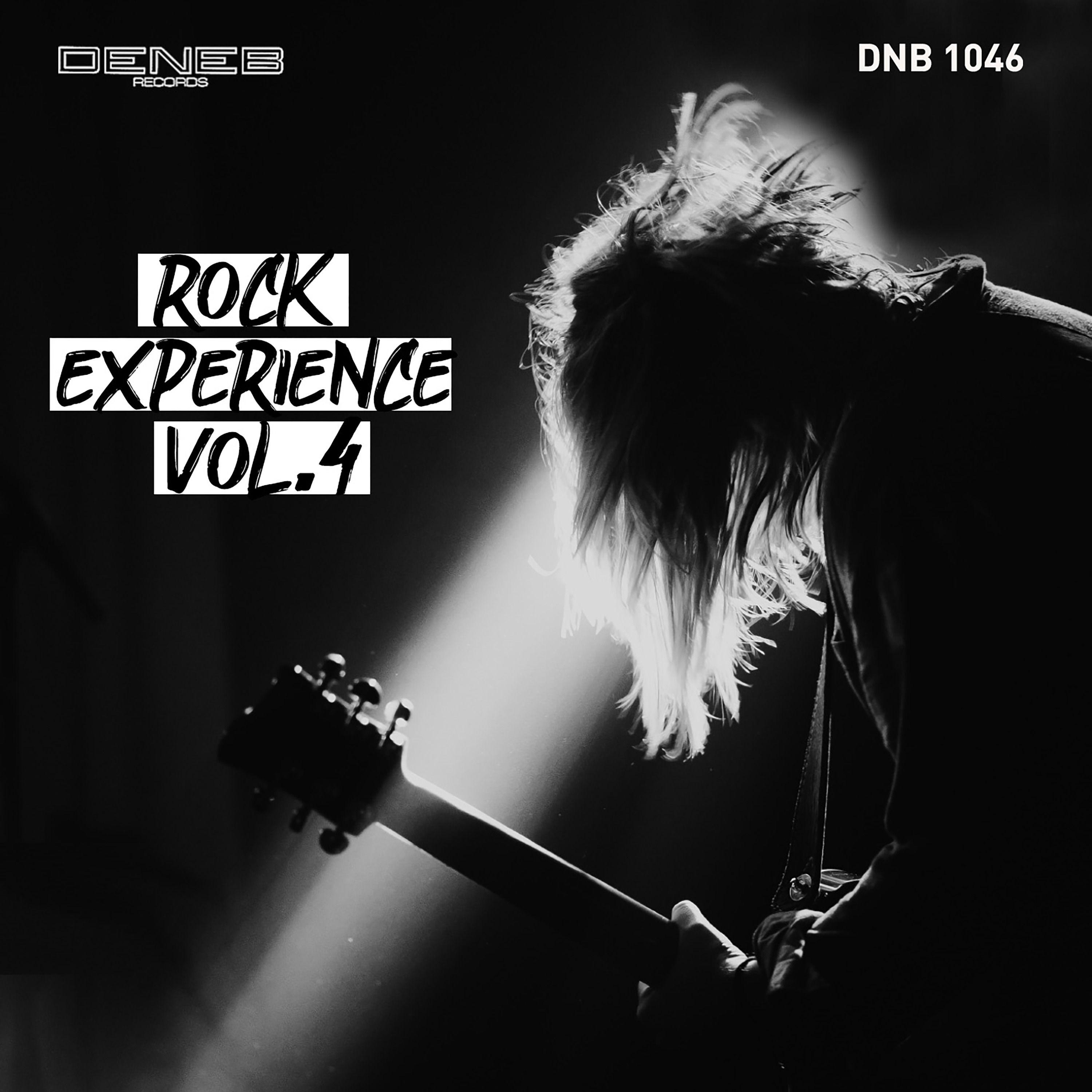 Rock Experience, Vol. 4