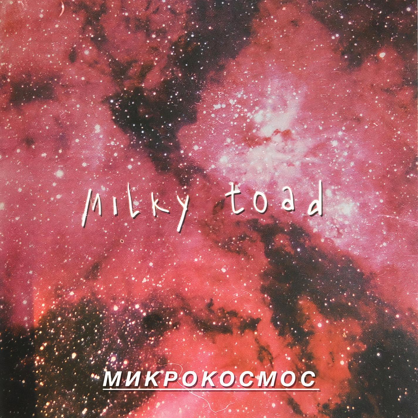 Microcosmos