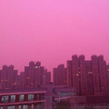 ＰＩＮＫ　ＨＡＺＥ