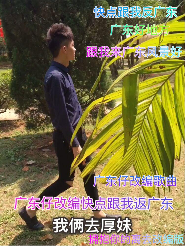 跟我来广东专辑