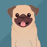 luv pug