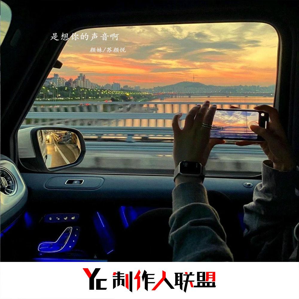 是想你的声音啊