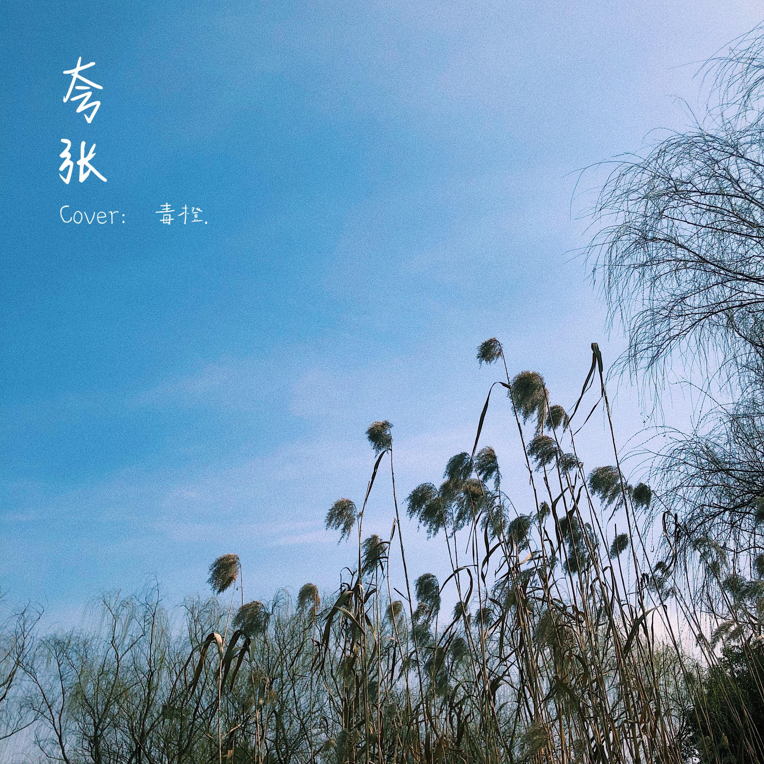 夸张 （Cover: 周品）专辑