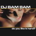 Do You Like It Hard? (Continuous DJ Mix by DJ Bam Bam)