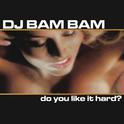 Do You Like It Hard? (Continuous DJ Mix by DJ Bam Bam)专辑