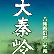 大秦岭 纪录片原声带