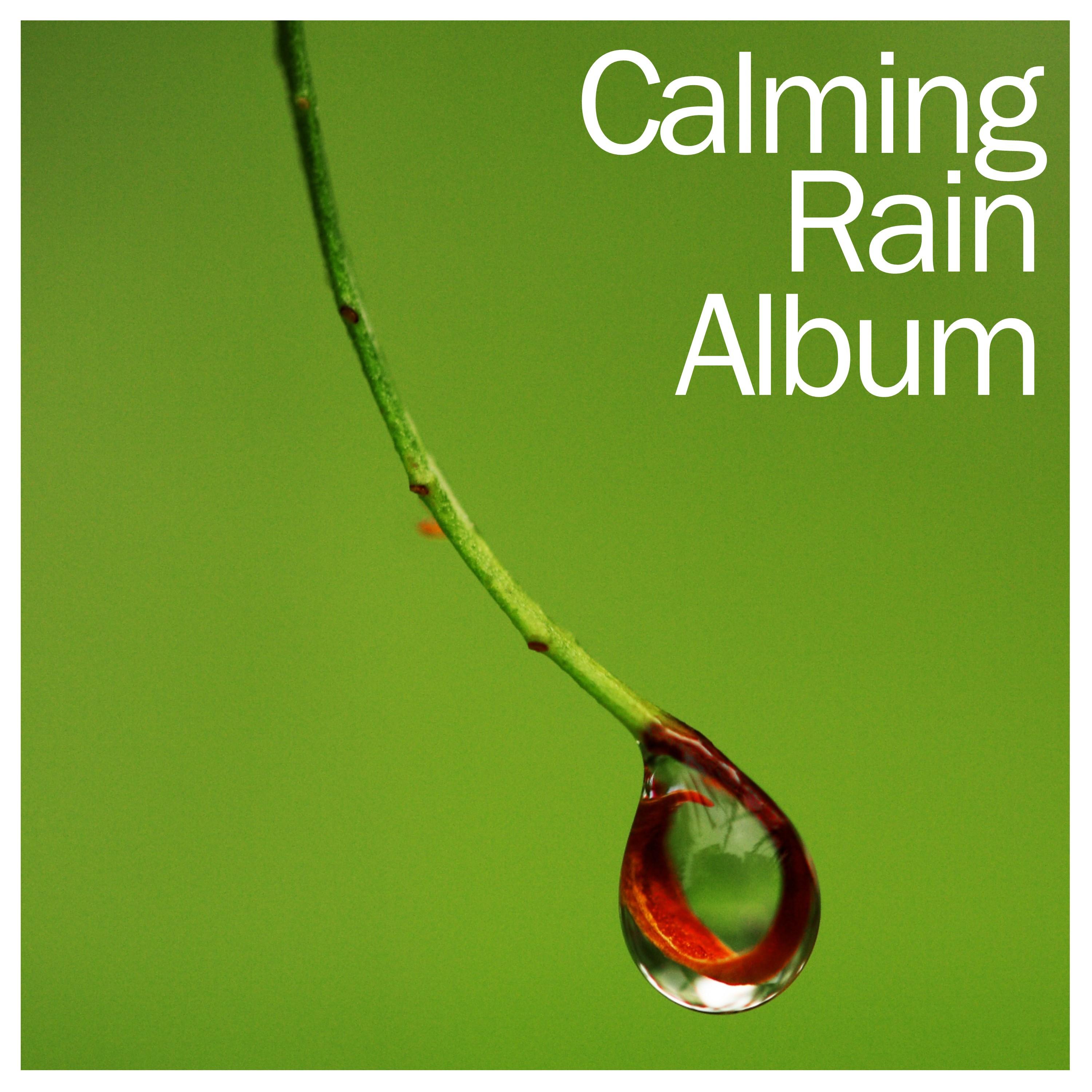 18 New Calming Rain Sounds专辑