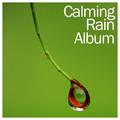 18 New Calming Rain Sounds