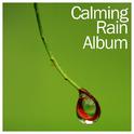 18 New Calming Rain Sounds专辑