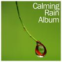 18 New Calming Rain Sounds专辑