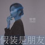 假装是朋友专辑