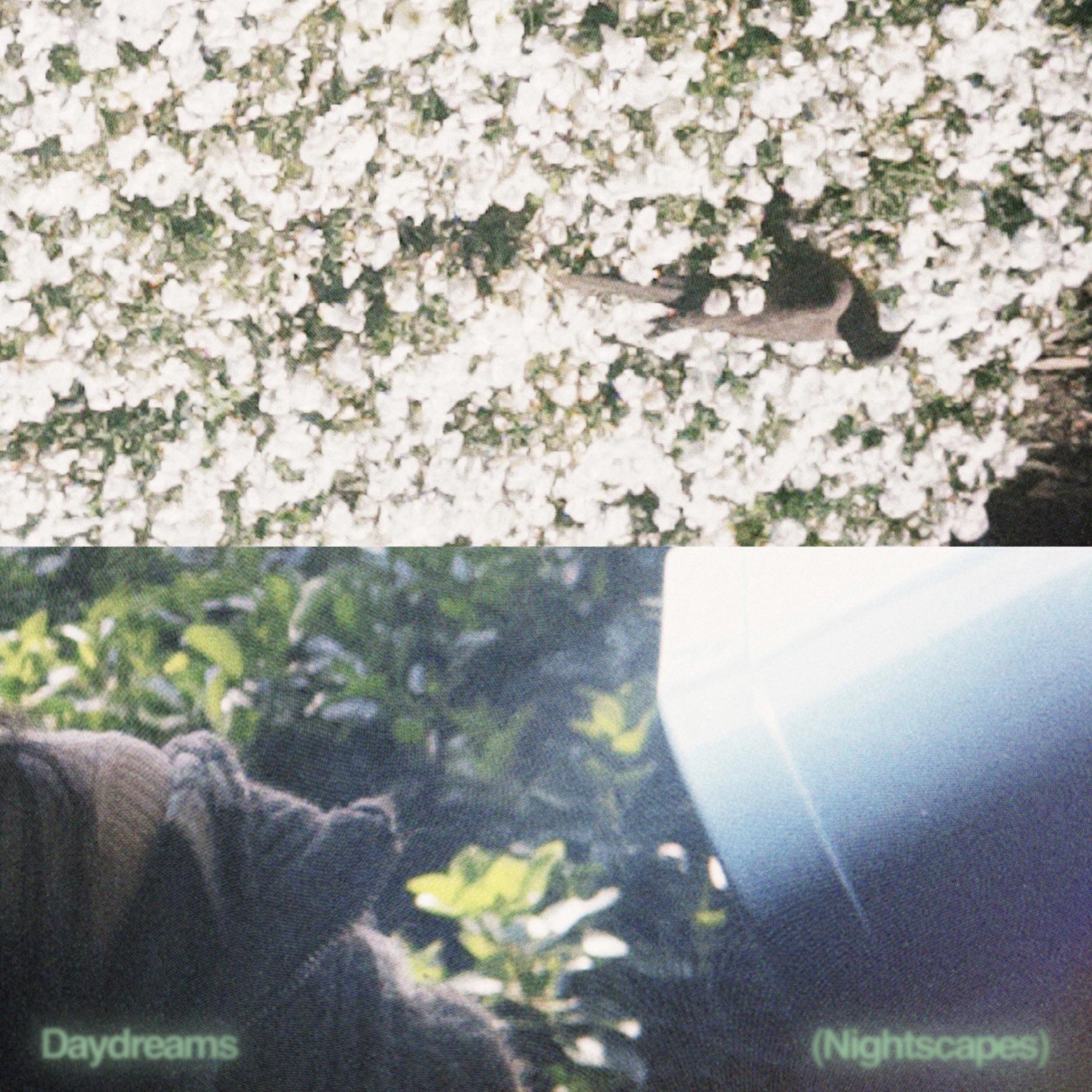 Daydreams/Nightscapes