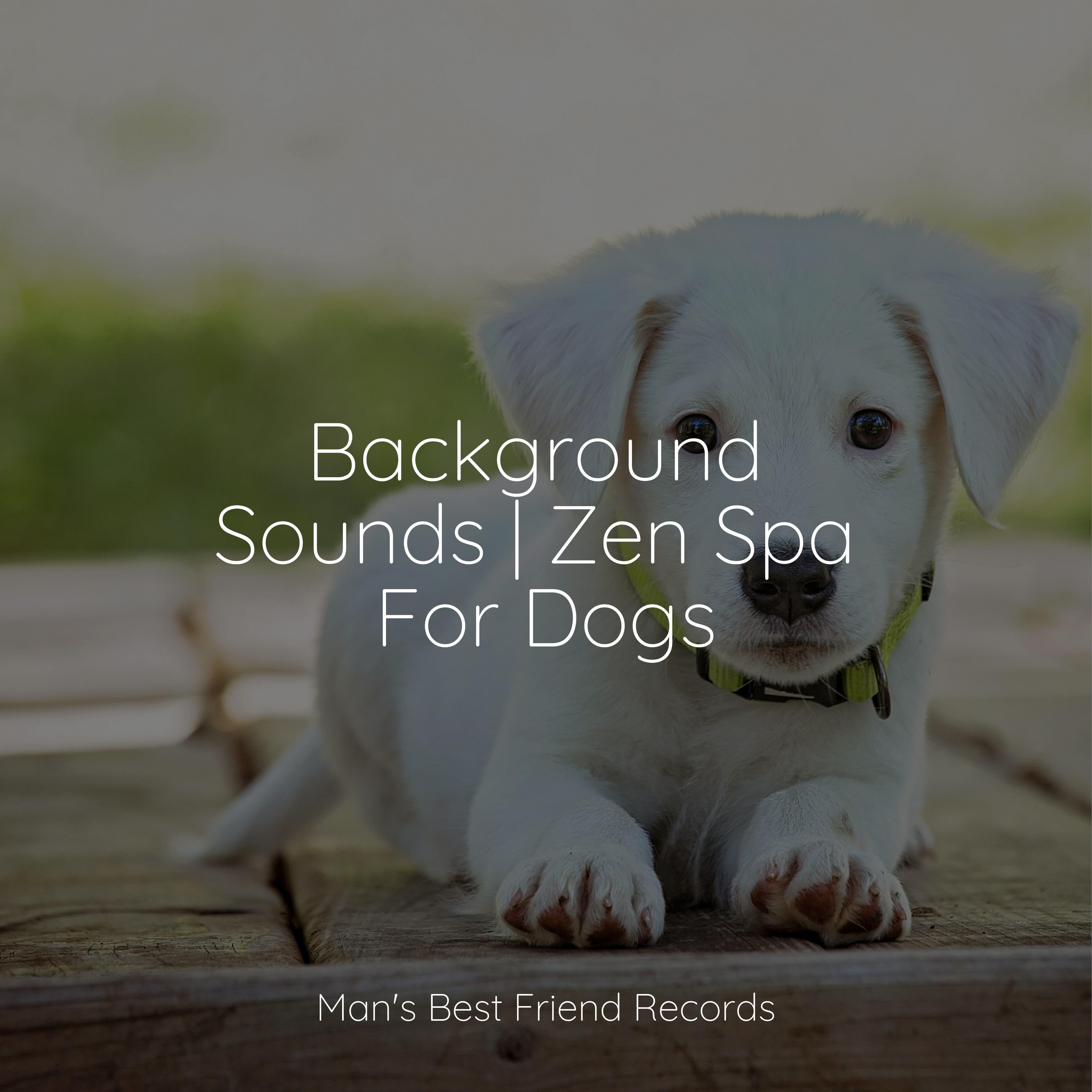 Sleeping Music For Dogs - Healing Spells