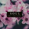 BRL - Soul