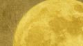 Moon专辑