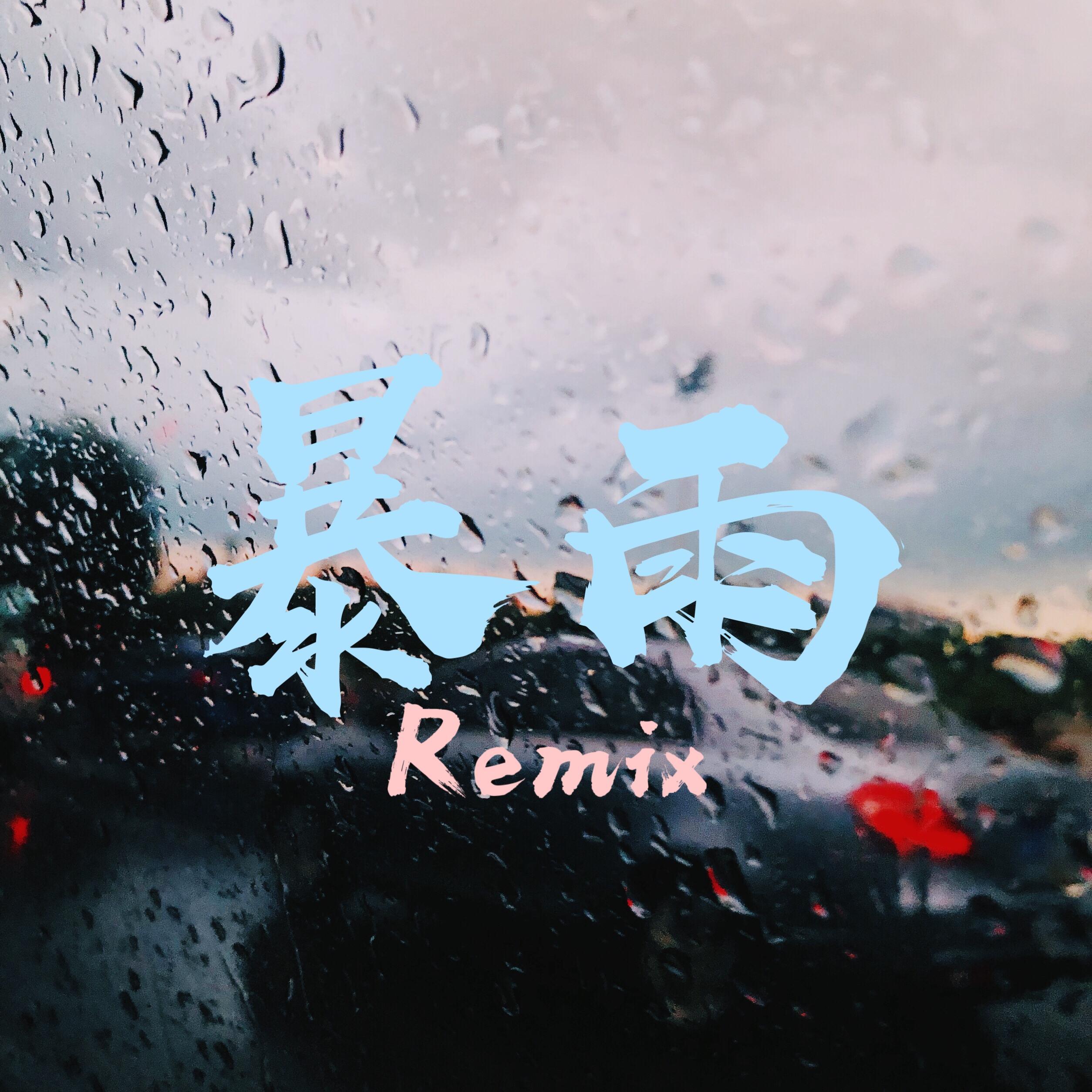 暴雨Remix专辑