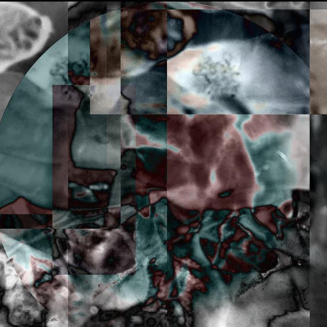 cxld.springs
