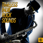 Timeless Indie Rock Sounds专辑