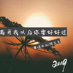 离开我以后你要好好过 (伴奏)