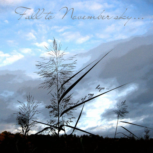 Wind of My Hope
