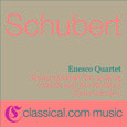 Franz Schubert, String Quartet No. 14 In D Minor, D. 810 (Death And The Maiden)