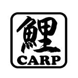 CARP MUSIC