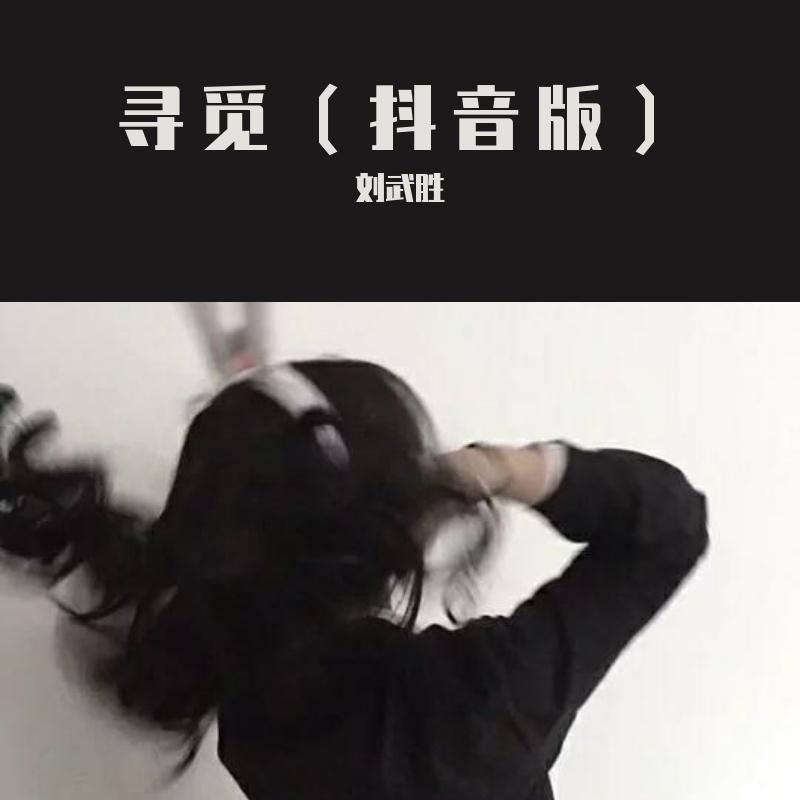 寻觅（抖音版）
