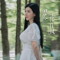 倪尔萍 - 思念化作风 (DJ沈念版)