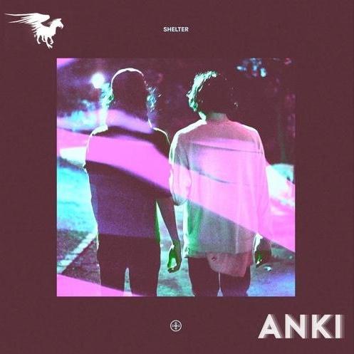 Shelter (Anki Bootleg Remix)