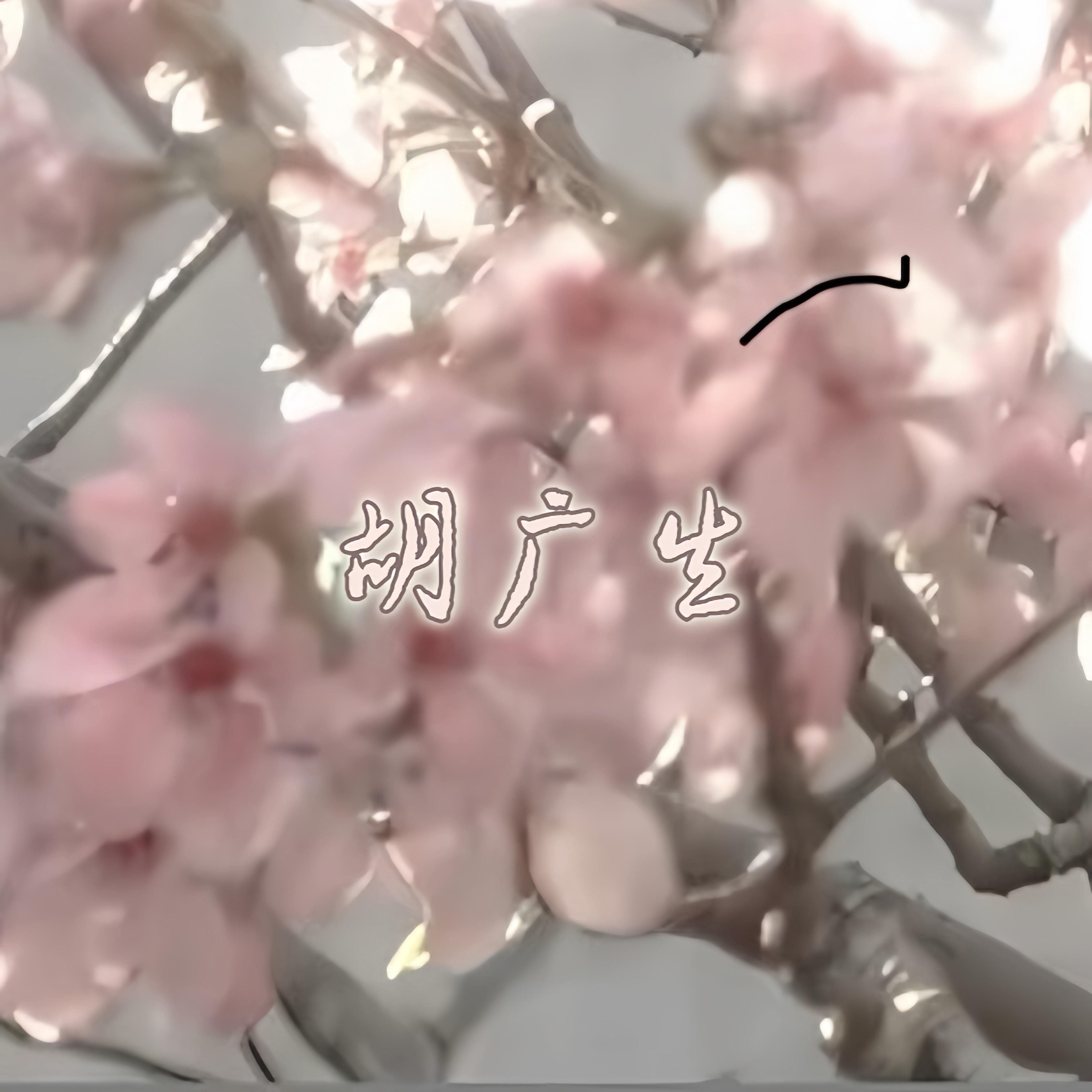 胡广生·2025(DJ缘为冰Remix）