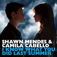 I Know What You Did Last Summer - Shawn Mendes & Camila Cabello (karaoke)