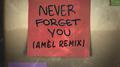 Never Forget You - Amél Remix专辑