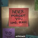 Never Forget You - Amél Remix专辑