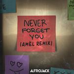 Never Forget You - Amél Remix专辑